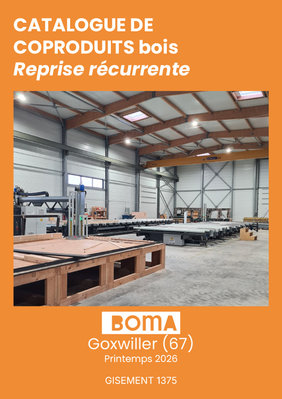 Catalogue de coproduits bois-reprise récurrente à Goxwiller (67) / Gisement 1375